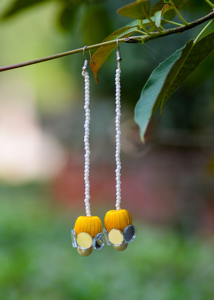 Earrings Hanging On A Branch 