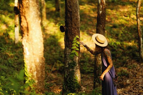 Free A tattooed woman in a long dress explores a vibrant forest under the sunlight. Stock Photo