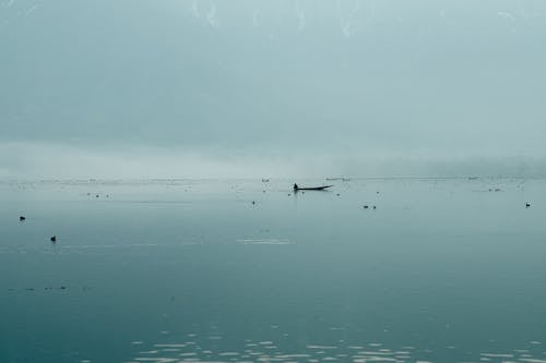 Kostenloses Stock Foto zu fluss, gewässer, neblig