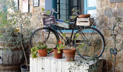 Free Charming vintage bicycle adorned with potted plants and a quaint coffee sign outside a rustic stone building. Stock Photo