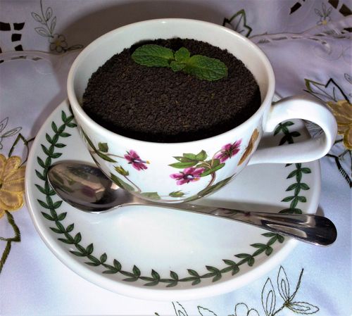 Free English cup of tea Stock Photo