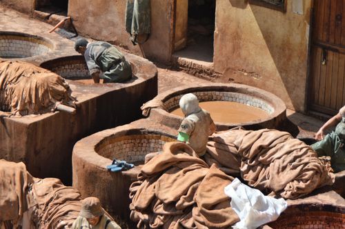 Free Tannery Stock Photo