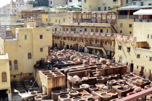 Free Tannery Stock Photo