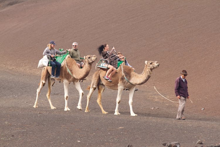 People Riding Camels 