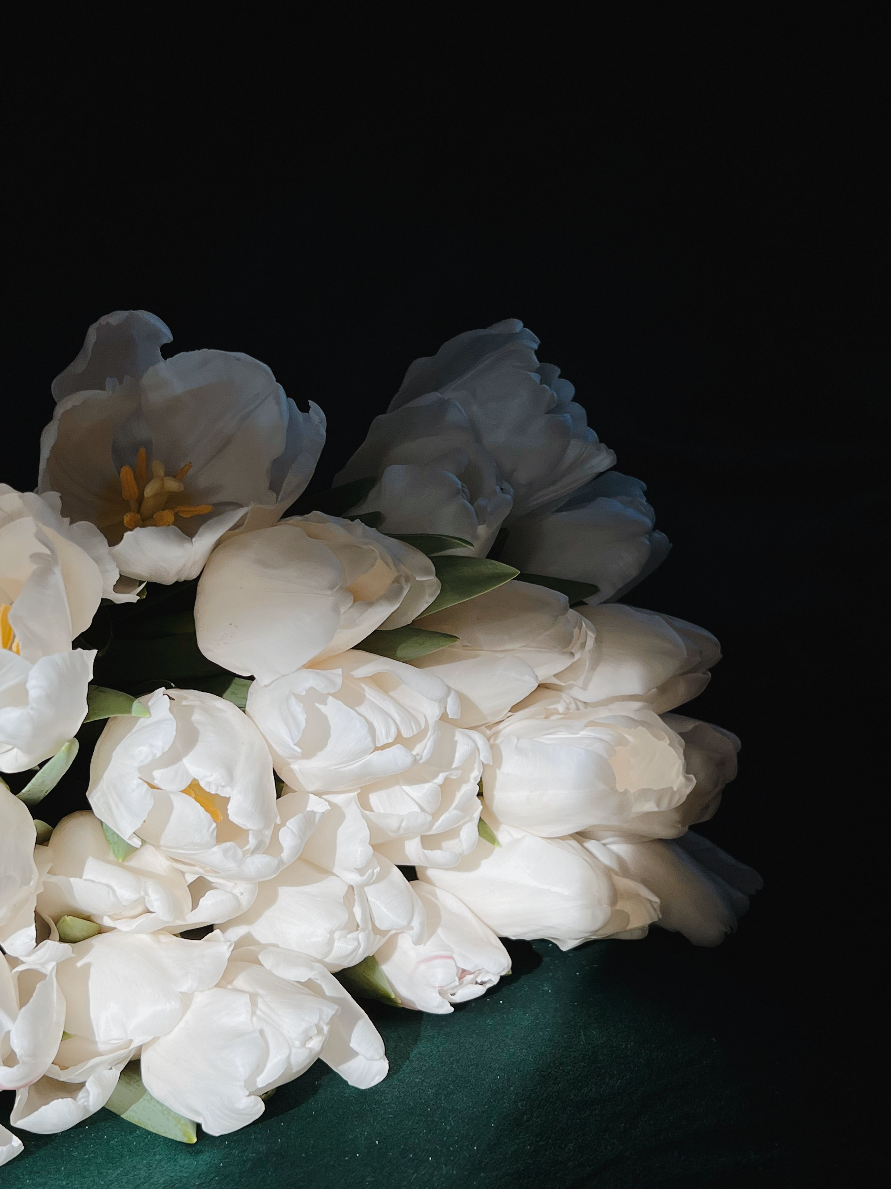 A stunning arrangement of white tulips highlighted against a dark, moody background.