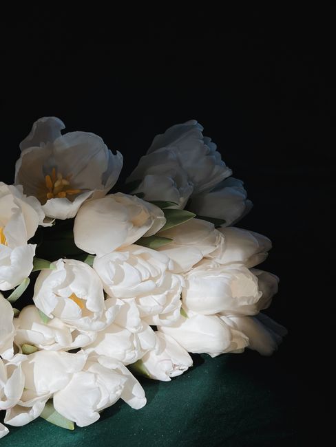 A stunning arrangement of white tulips highlighted against a dark, moody background.