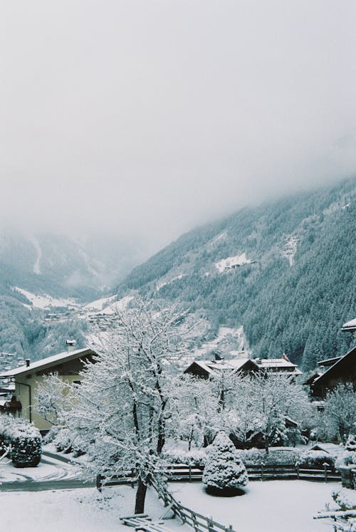 Fotos de stock gratuitas de casas, cubierto de nieve, invierno