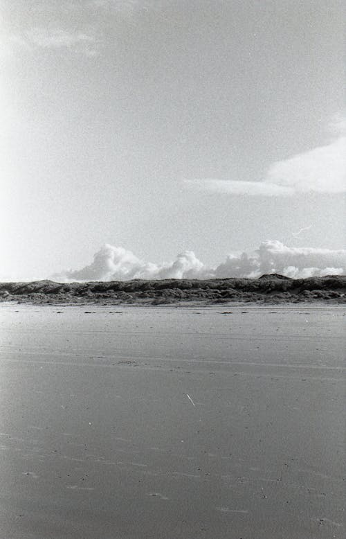 Imagine de stoc gratuită din alb-negru, cer, coasta de mare