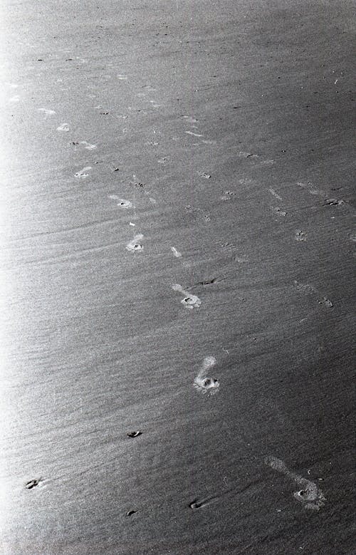 Free Footprints on Sand Stock Photo