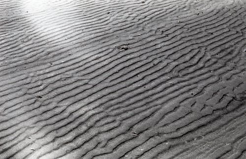 Imagine de stoc gratuită din a închide, alb-negru, dune de nisip