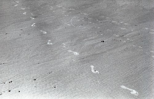 Free Black and white footprints trailing in sandy beach capture solitude. Stock Photo