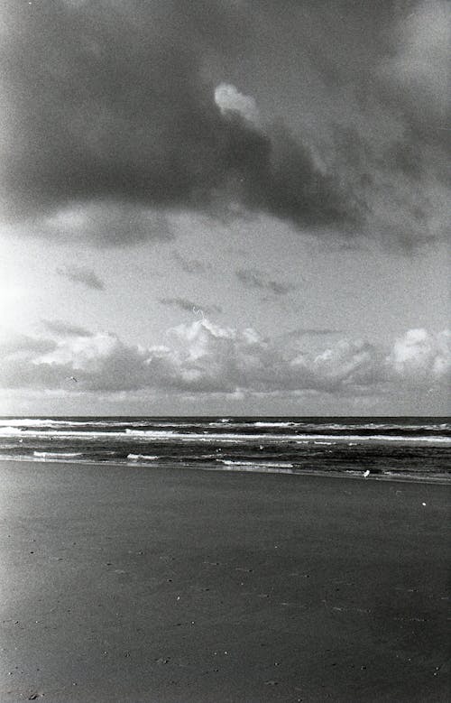 Fotos de stock gratuitas de al aire libre, blanco y negro, cielo