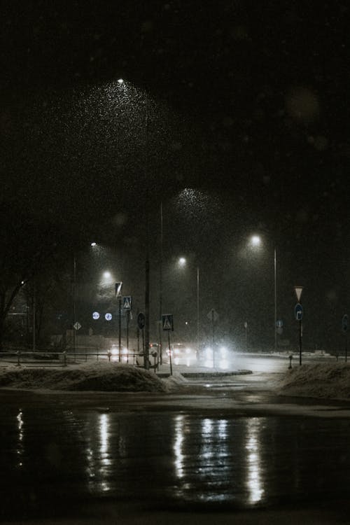 Foto d'estoc gratuïta de blanc i negre, constipat, escala de grisos