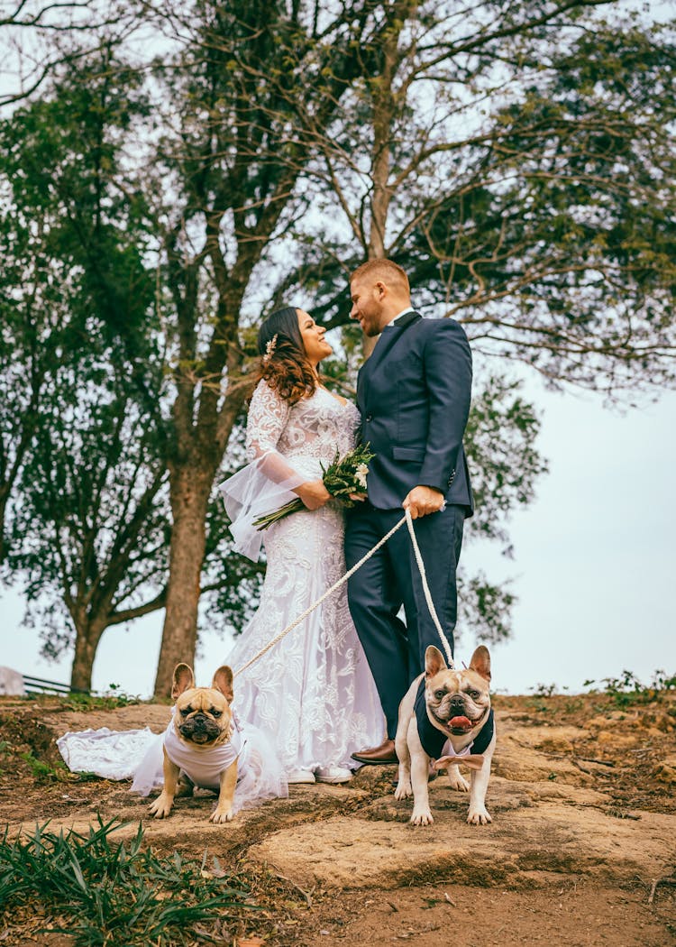 Wedding Couple Standing With Their Pet Dogs