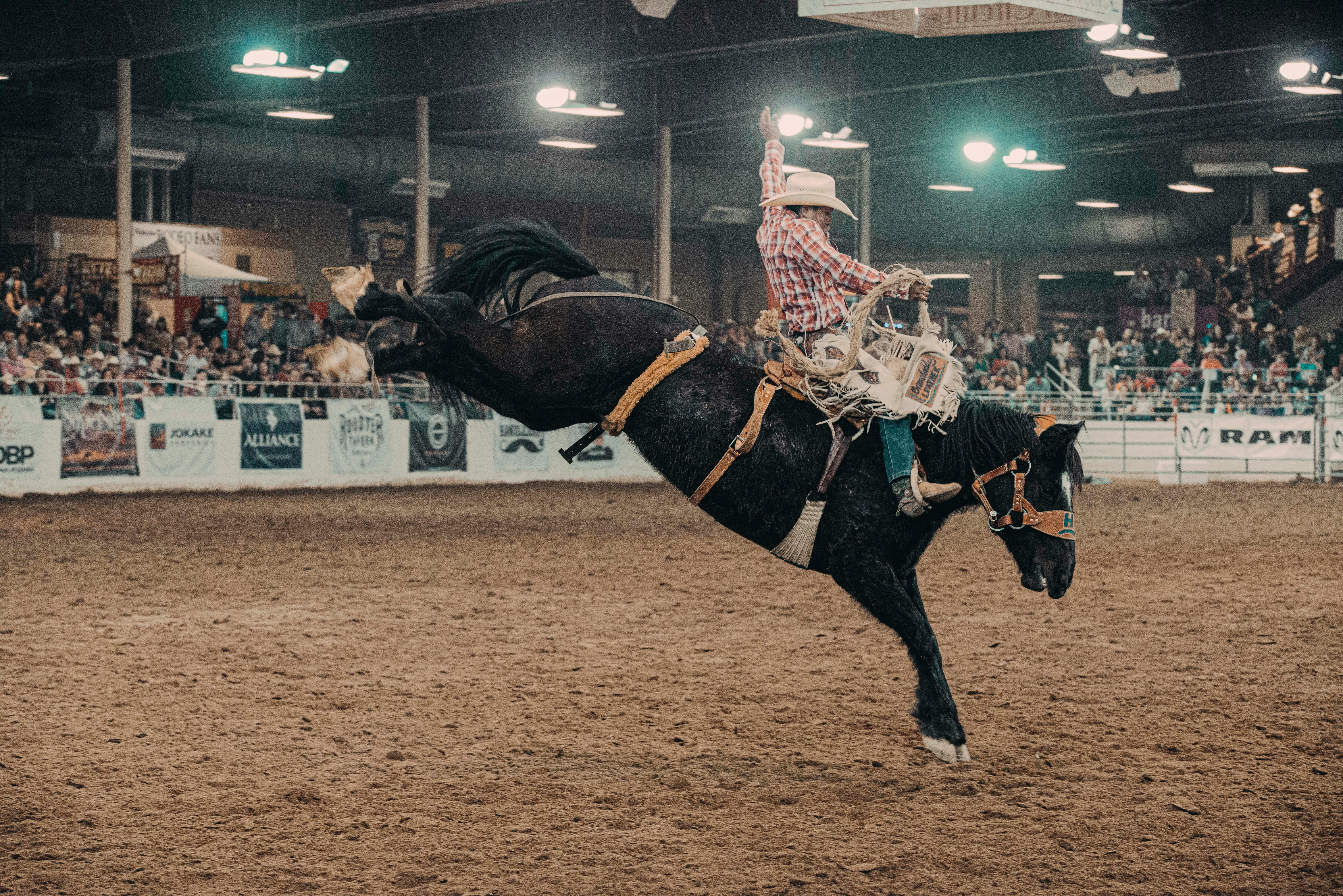 man riding a horse