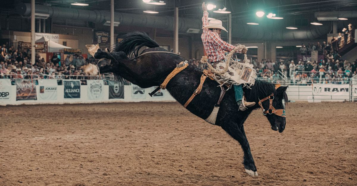 A cowboy skillfully rides a bucking horse during an indoor rodeo event, capturing excitement and tradition.