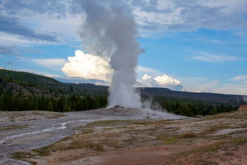 Free A stunning view of Old Faithful geyser erupting against a clear sky in Yellowstone National Park. Stock Photo