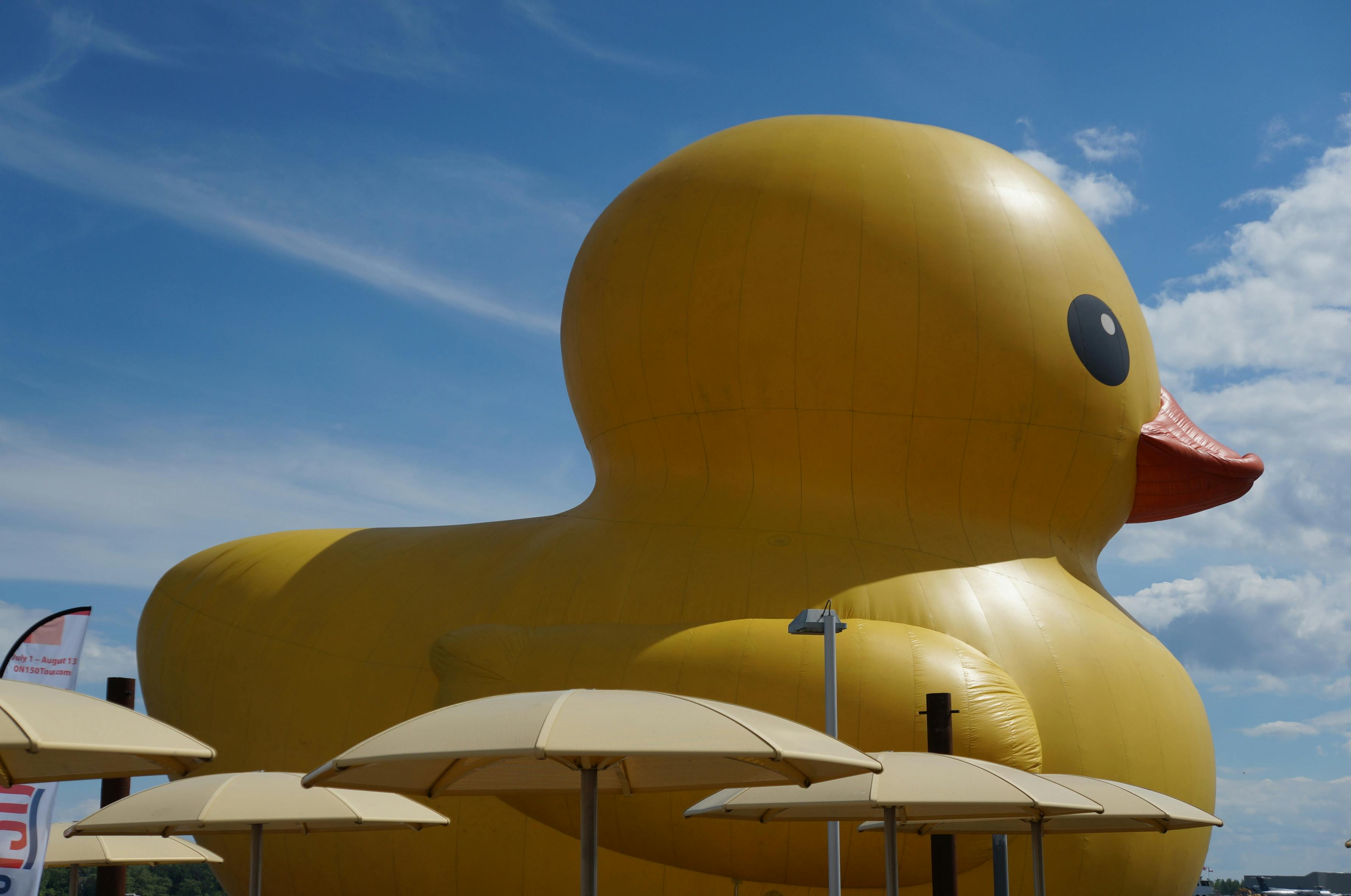 Aasian suku puoli Xnxxx