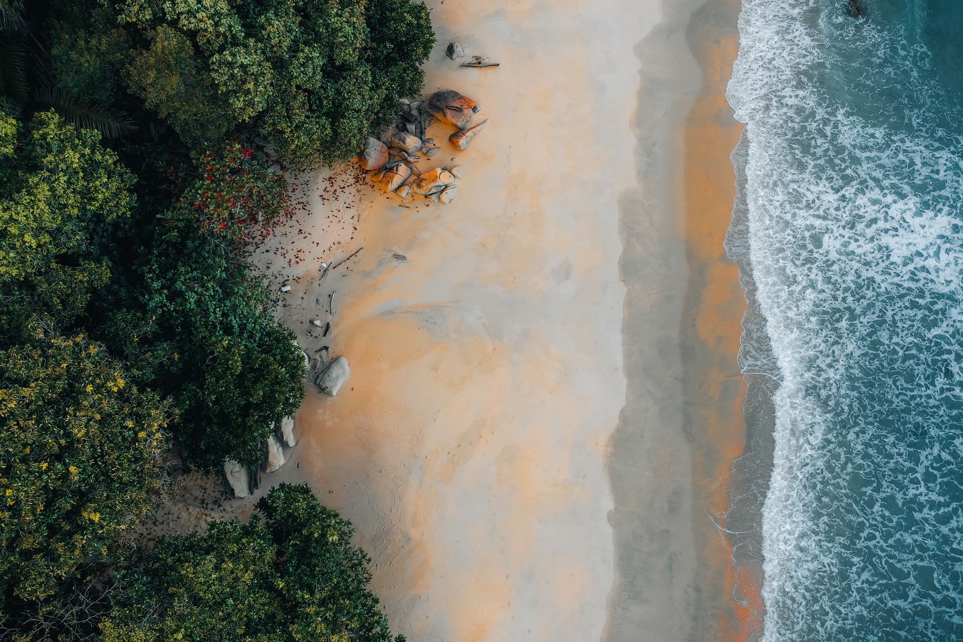 Stunning aerial view of a sandy beach bordered by lush greenery and gentle waves.