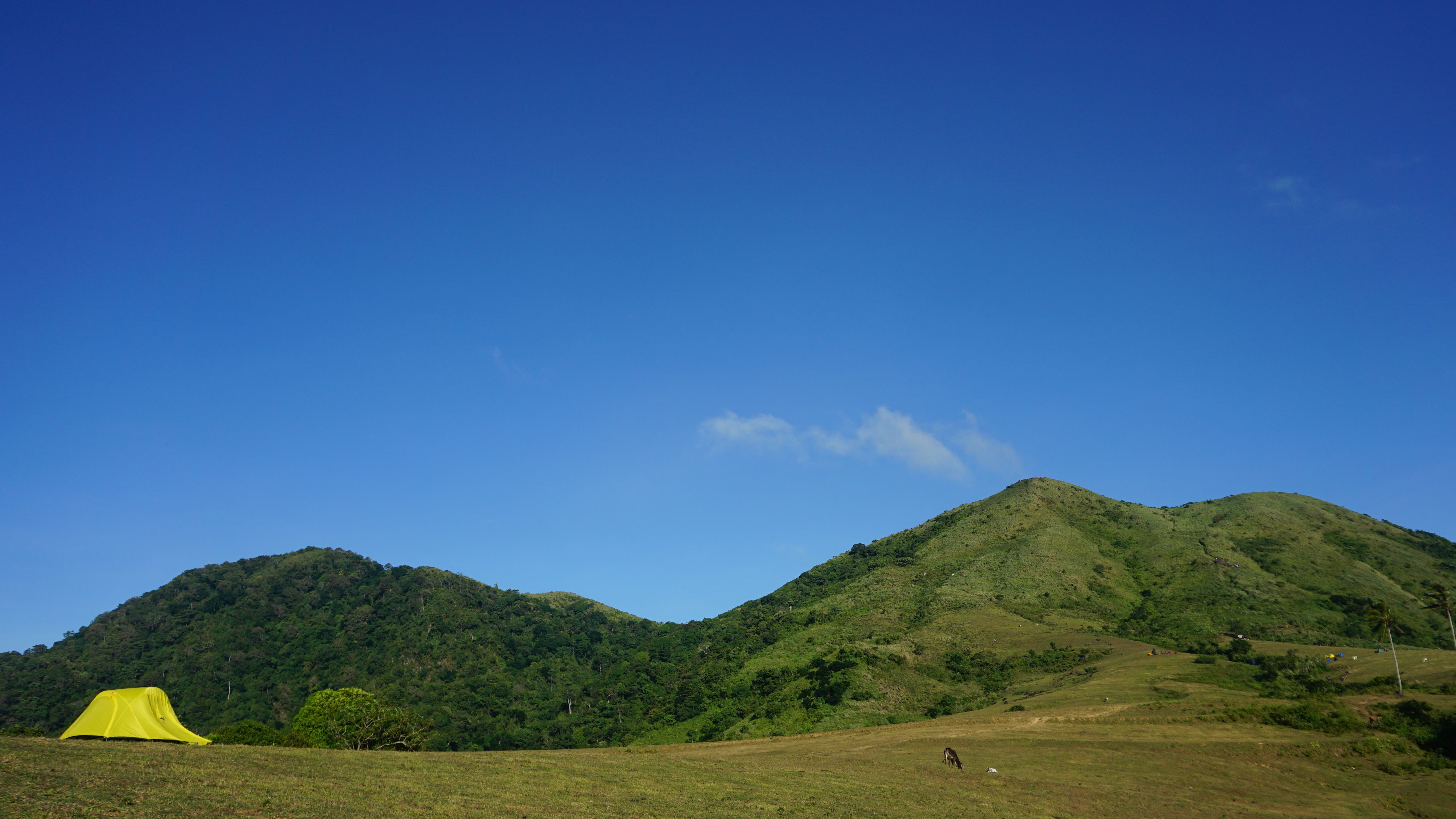 Pengalaman Camping Ground eMTe: Suka Duka Berkemah di Kaki Gunung - ciwidey emte highland