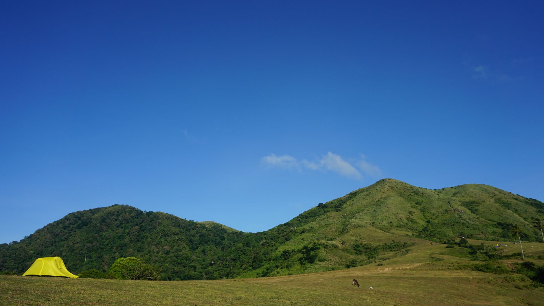 Pengalaman Camping Ground eMTe: Suka Duka Berkemah di Kaki Gunung - ciwidey emte highland Pengalaman Camping Ground eMTe: Suka Duka Berkemah di Kaki Gunung - ciwidey emte highland