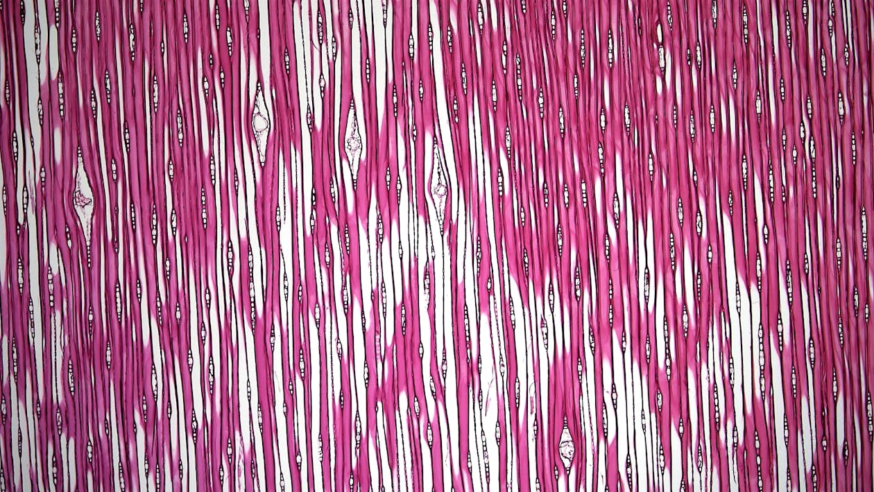 Abstract Stripey Background 