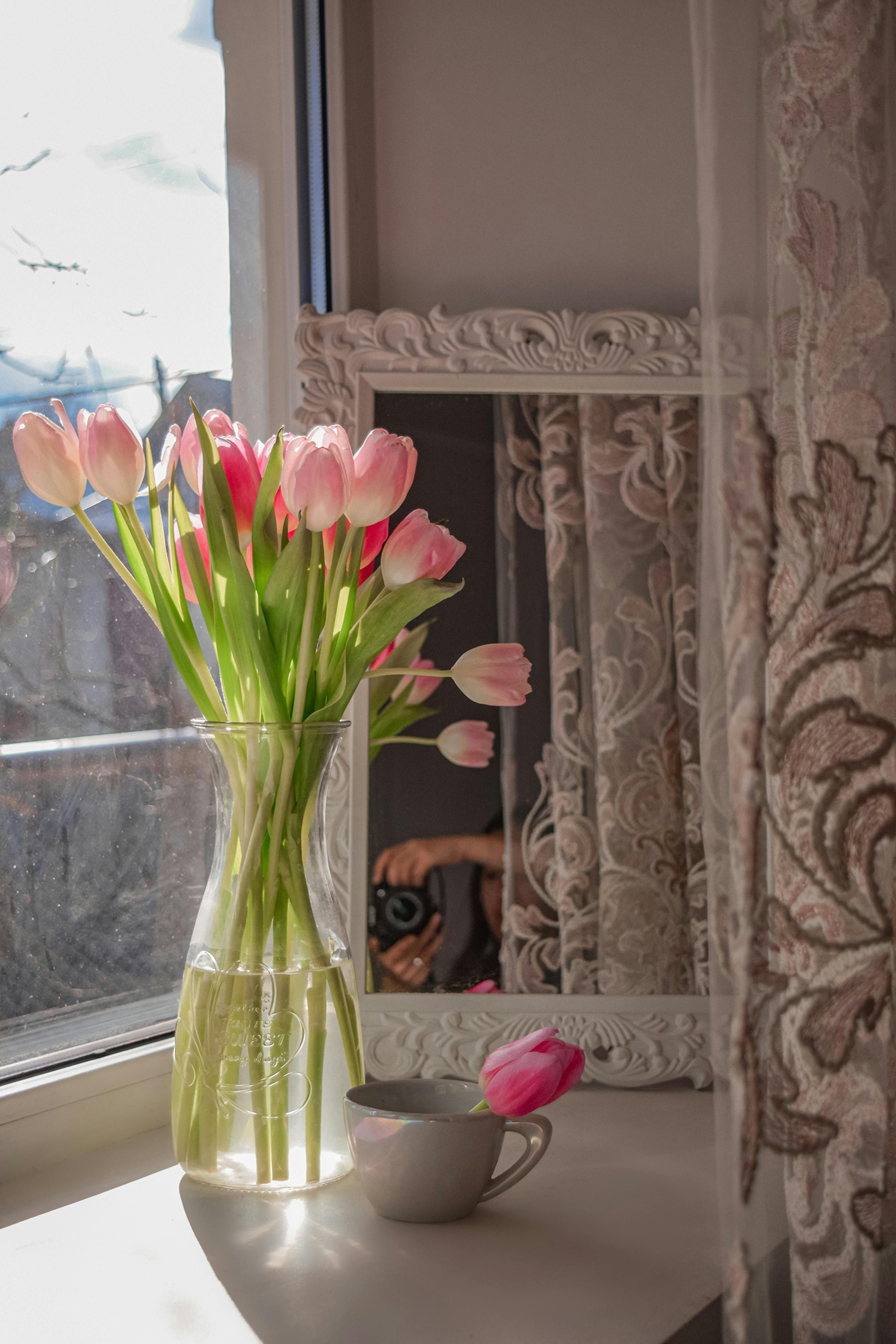 A Glass Vase on a Window Sill · Free Stock Photo