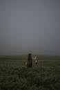 Woman on the Grassy Meadow with a Kerosene Lamp 