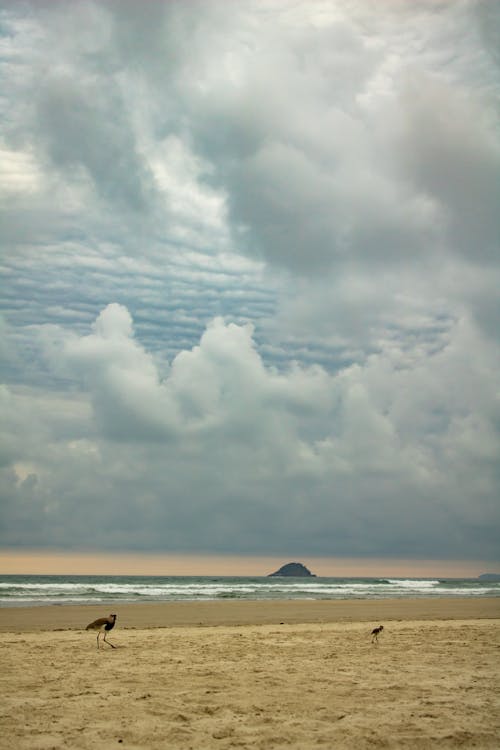 Free White Clouds Over the Seashore Stock Photo