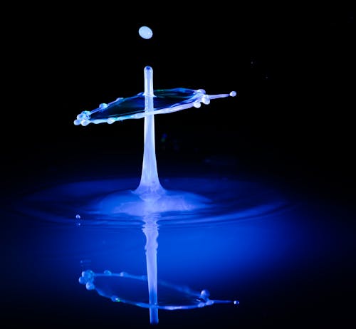 Selective Focus Photography Of Drop Of Water Photo