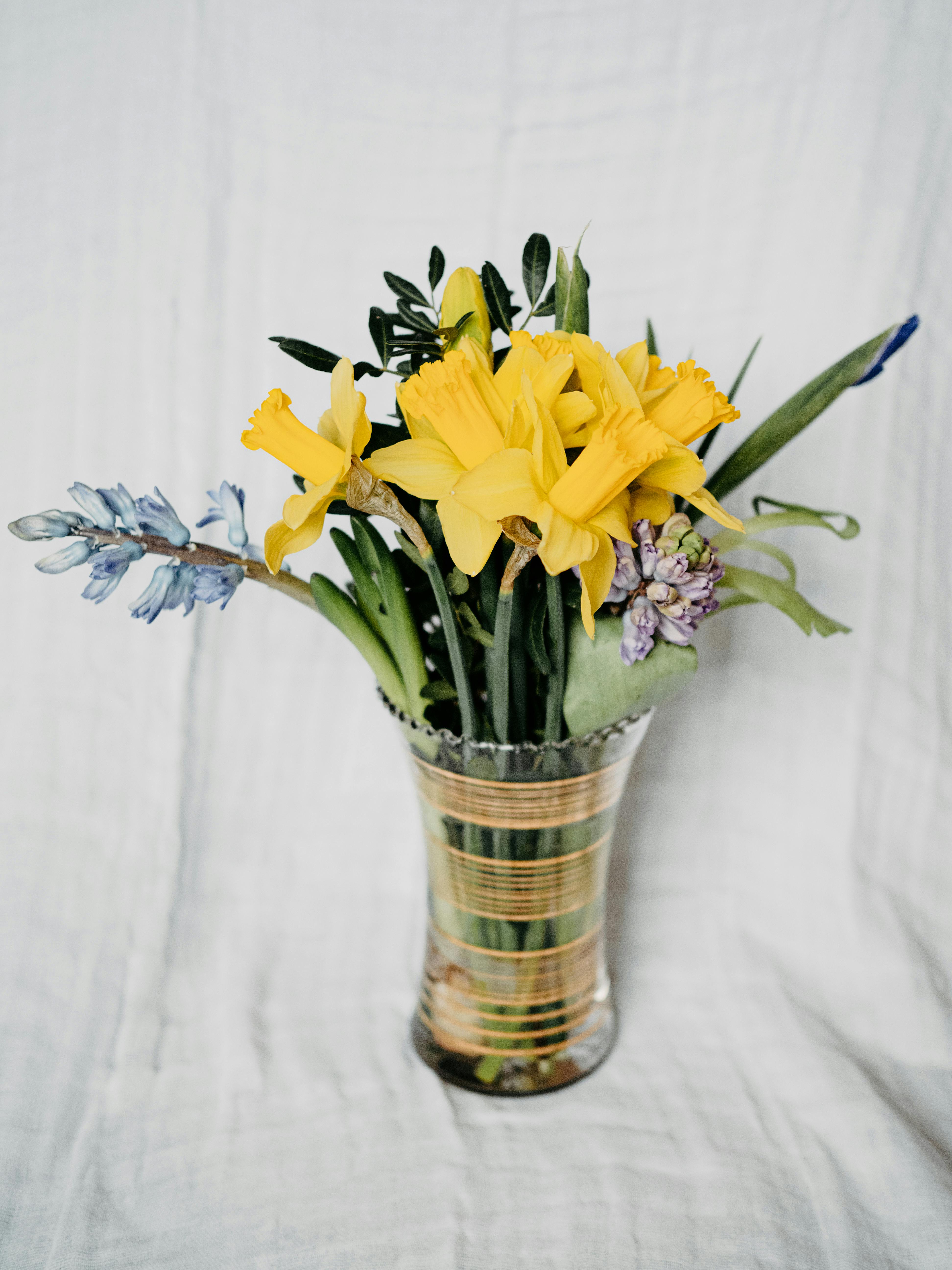 A vibrant bouquet of yellow daffodils and hyacinths in a glass vase against a white background.