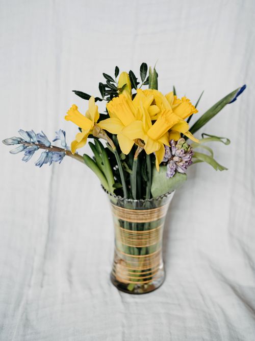 Free A vibrant bouquet of yellow daffodils and hyacinths in a glass vase against a white background. Stock Photo