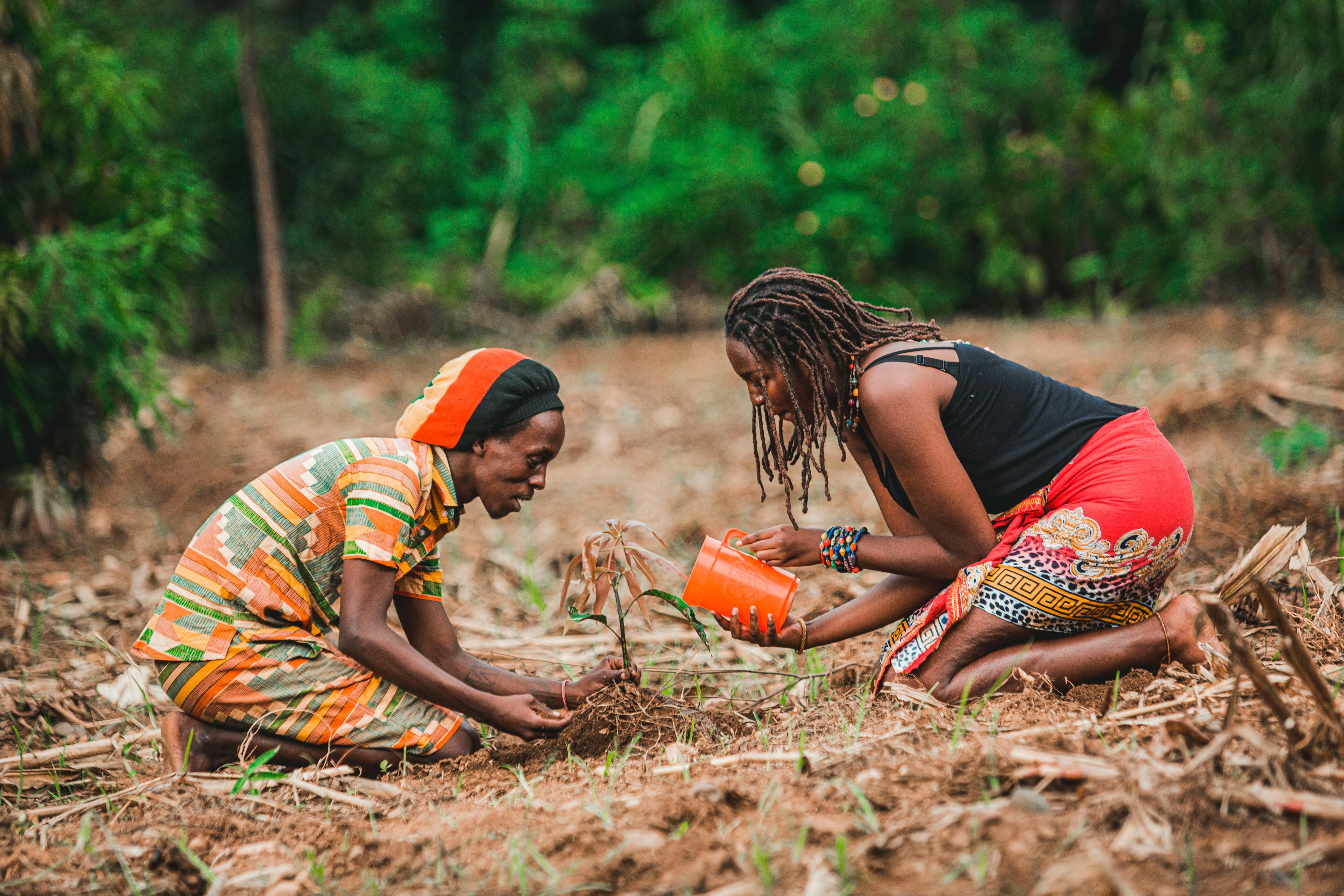 african man and woman taking care of plant