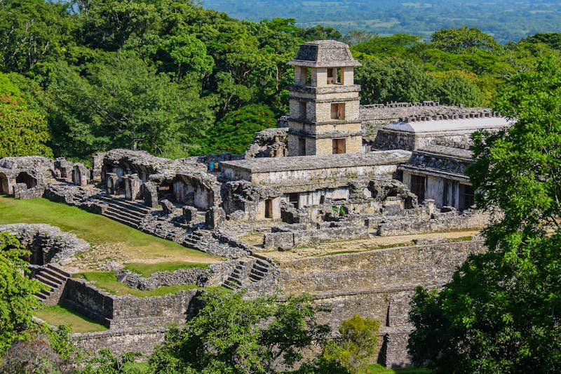 Ruines anciennes de Palenque au milieu de la jungle du Mexique