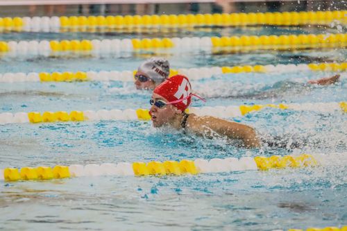 Free Swimmers compete in a butterfly stroke race in an indoor pool, showcasing athletic determination. Stock Photo
