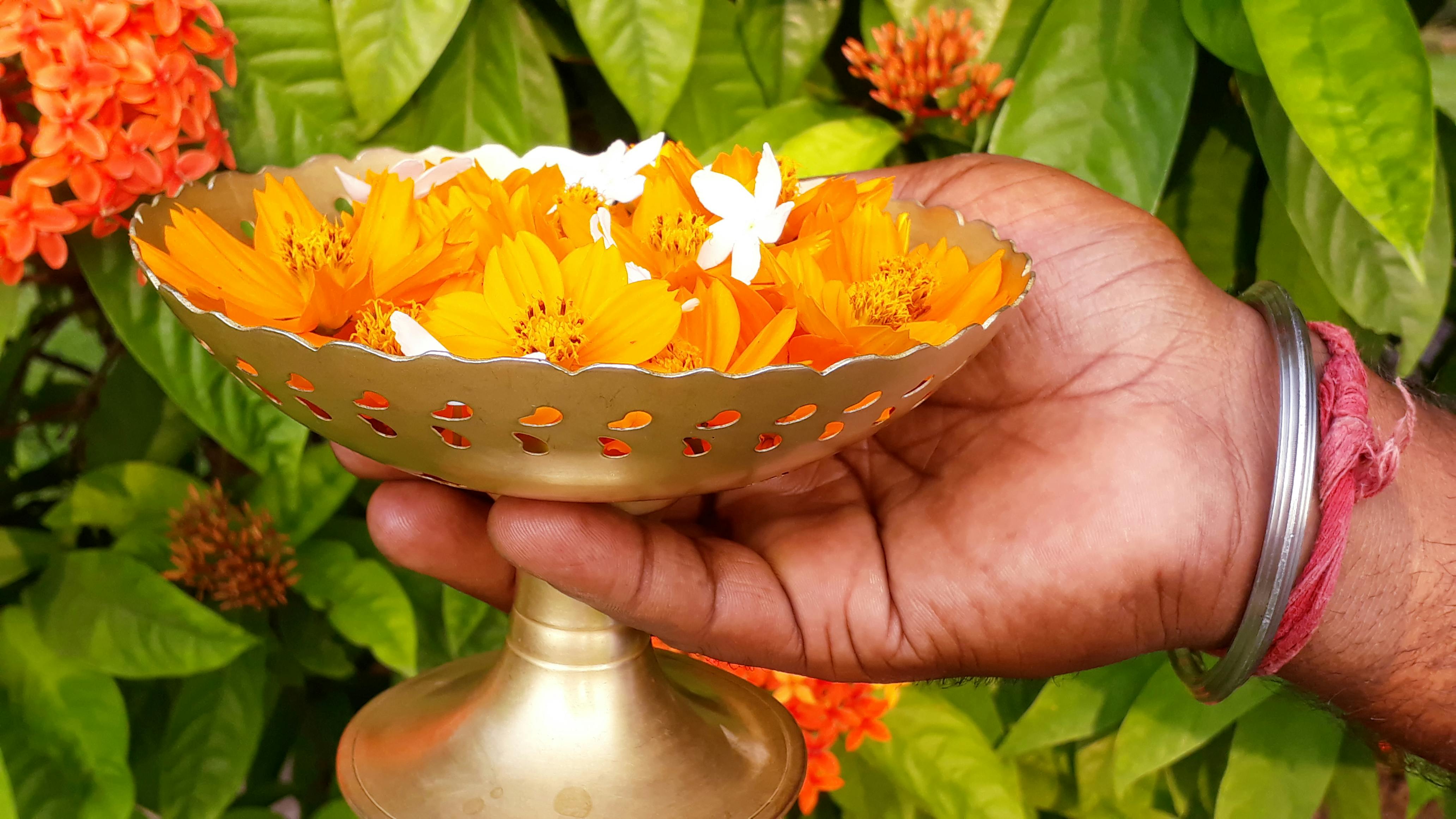 Free stock photo of flowers, flowers for worship, holding container of flowers