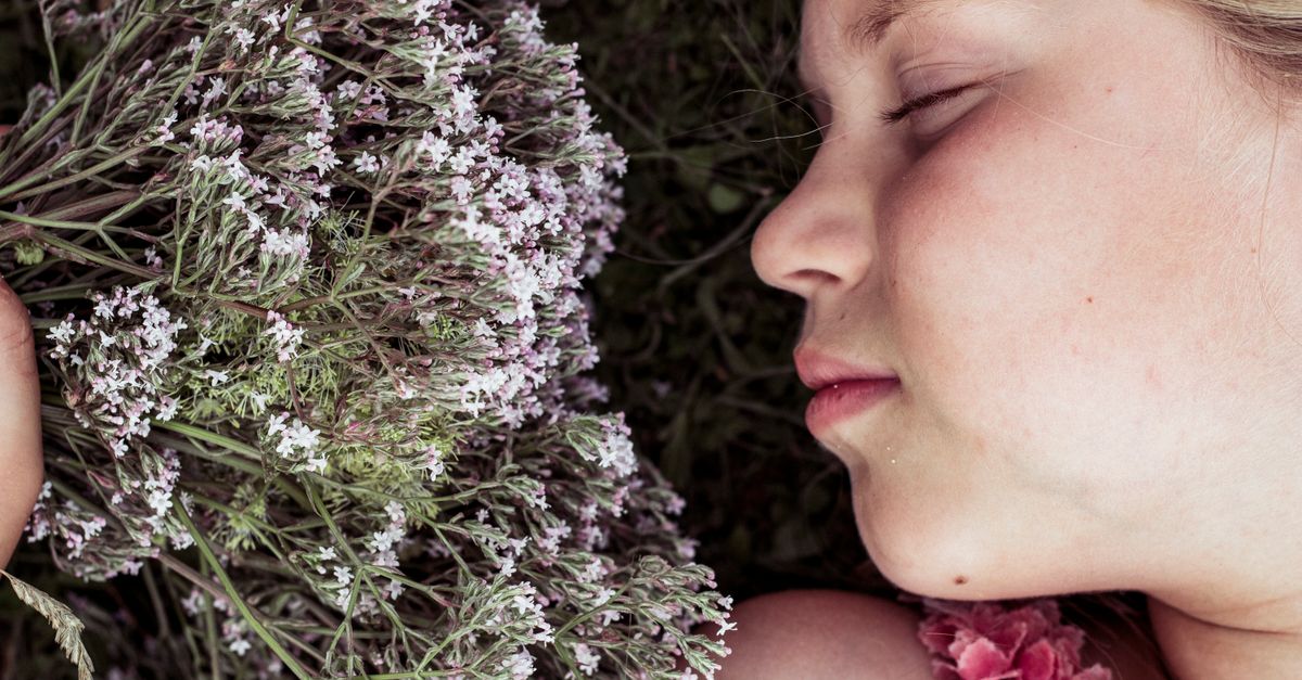 A young girl with her eyes closed rests among blooming valerian flowers, radiating tranquility. - Evidence evidence guide for valerian sleep onset randomized trial