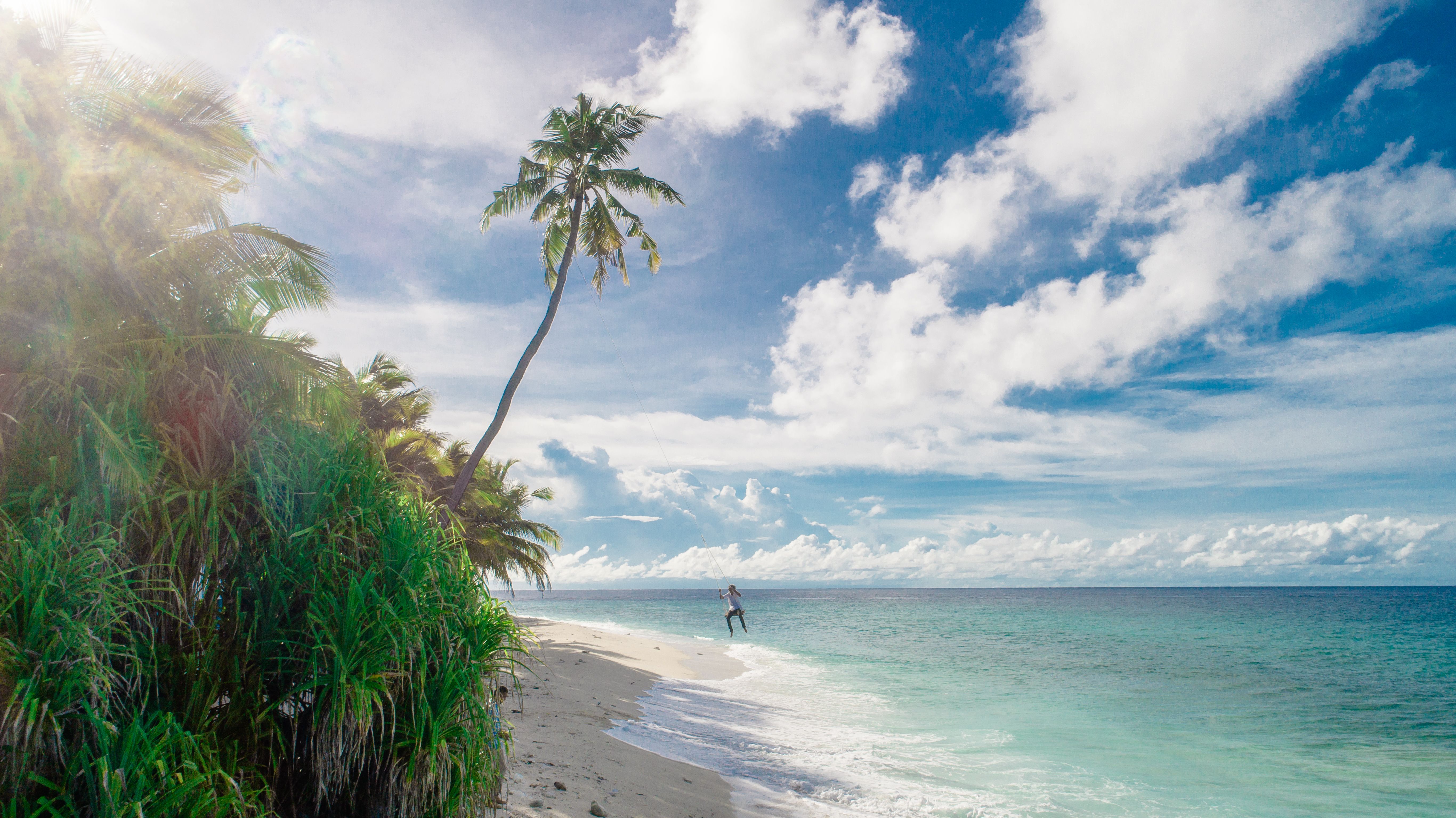 Stunning tropical beach scenery with palm trees and turquoise waters in the Maldives.
