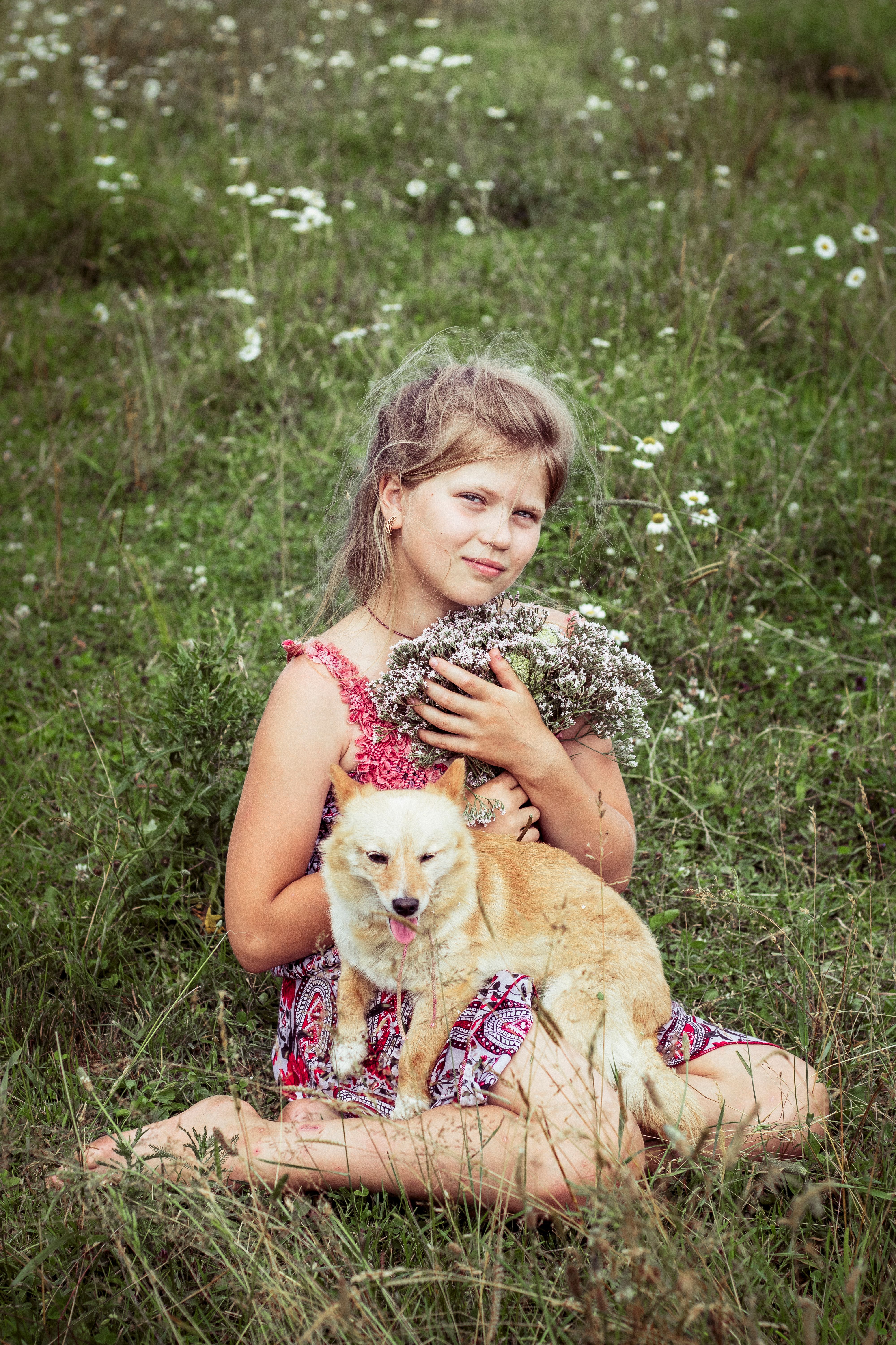 A young girl sits in a meadow holding wildflowers with a small dog by her side, capturing a serene outdoor moment.