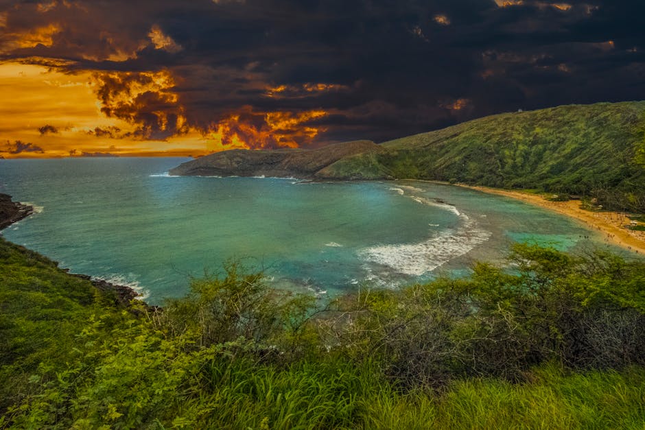 Beaches, Bays, and Blissful Relaxation Beaches, Bays, and Blissful Relaxation