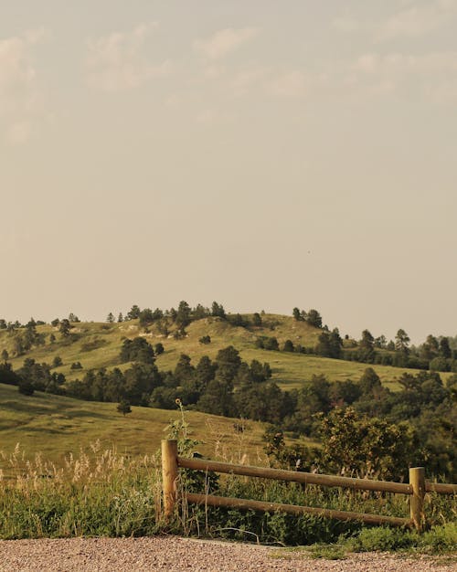 Landscape Photography of a Countryside