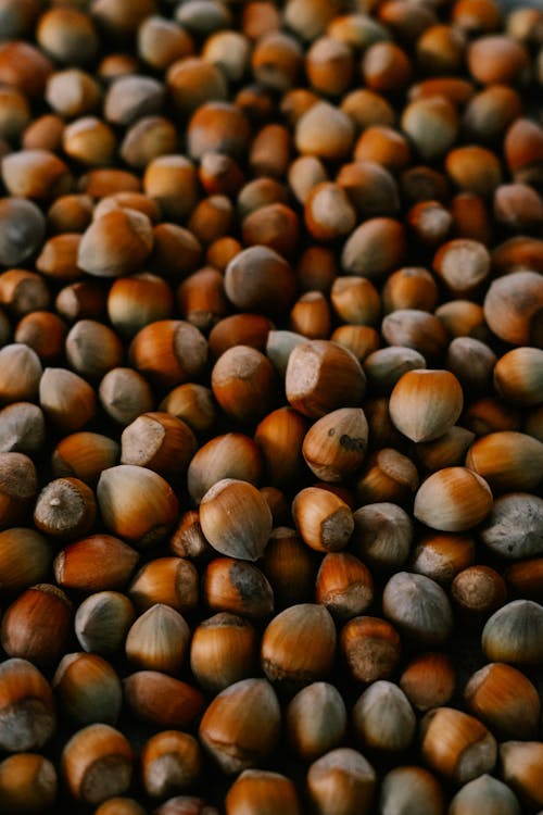 Free Full Shot of Hazelnuts Stock Photo