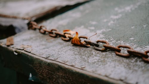 Free Photo of a Rusty Chain Stock Photo