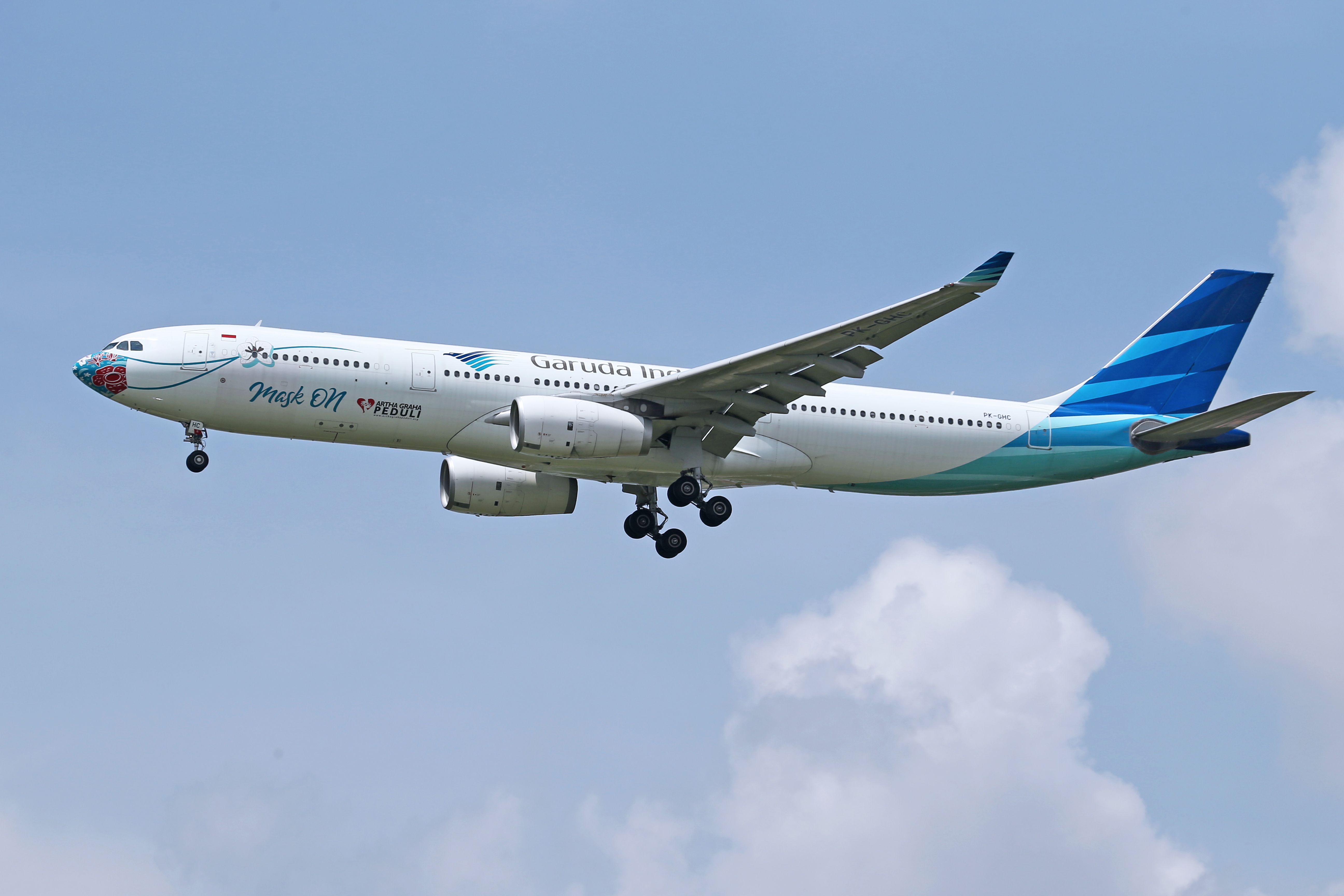 An Airplane in the Sky
