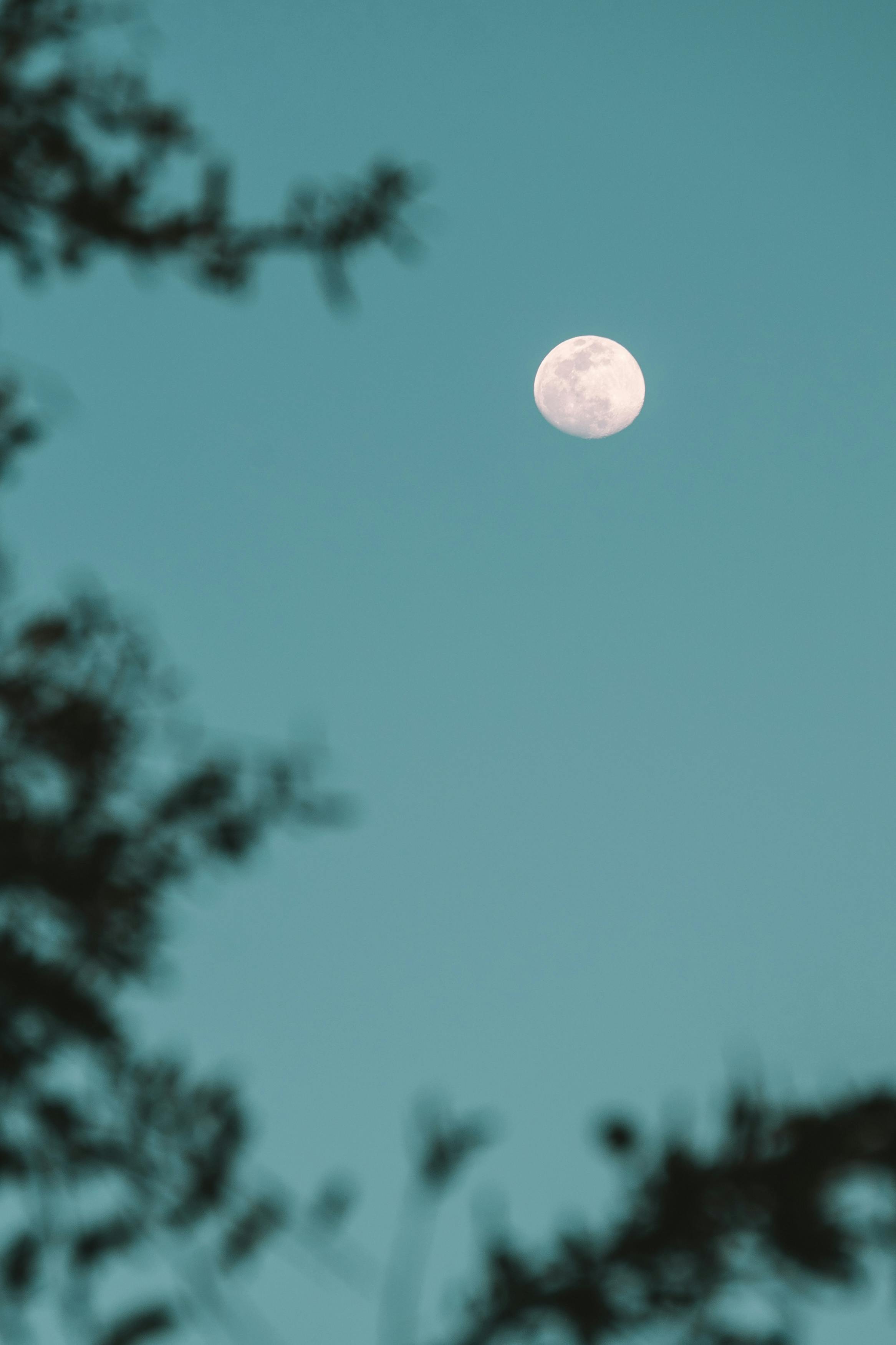 Shallow Focus Photo of Moon · Free Stock Photo