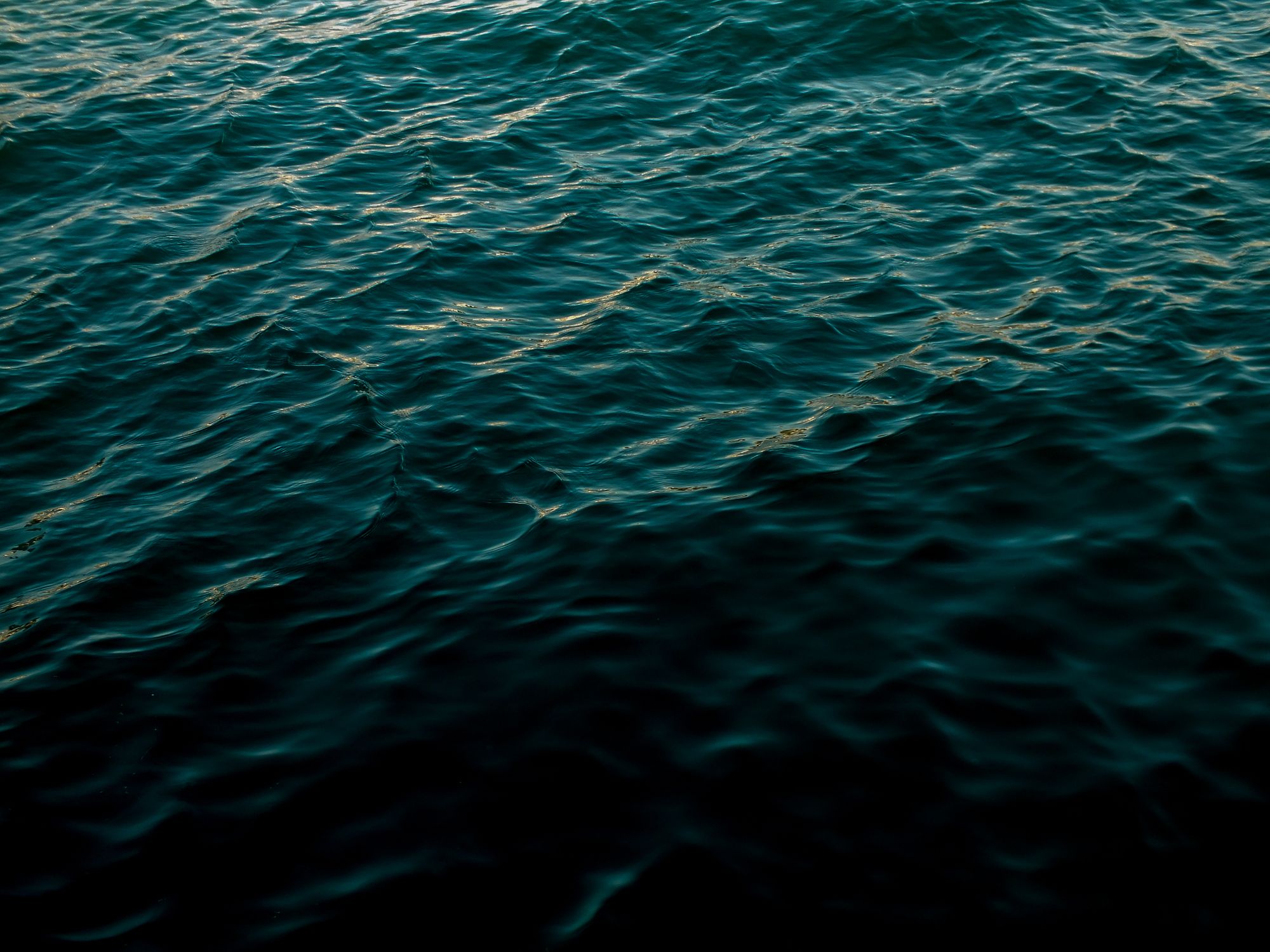 Dark ocean water rippling under the last light of the evening