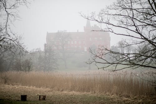 Fotos de stock gratuitas de castillo en la niebla