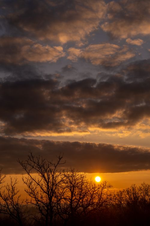Free Scenic sunset view with dramatic clouds and silhouetted leafless trees capturing the golden hour. Stock Photo
