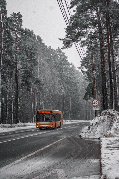 Free A bus navigates a snow-covered road through a serene winter forest, surrounded by tall pines. Stock Photo