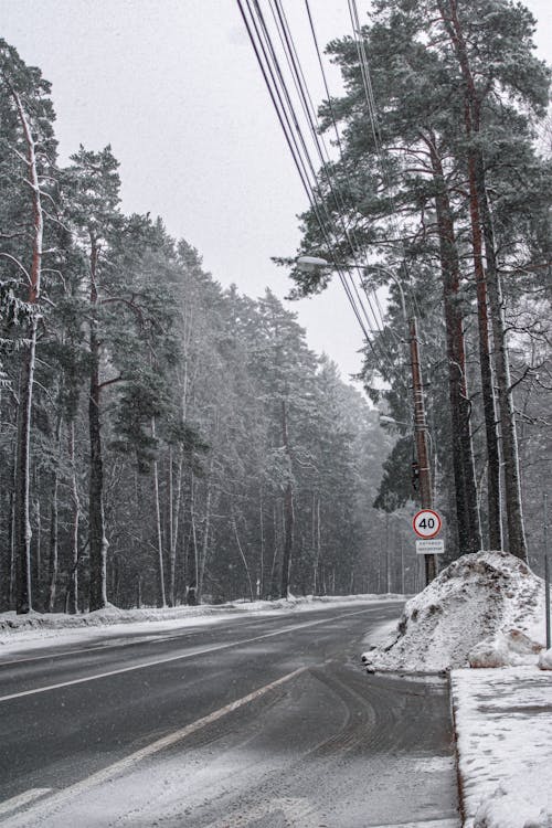 下雪的, 冬季, 冷 的 免費圖庫相片